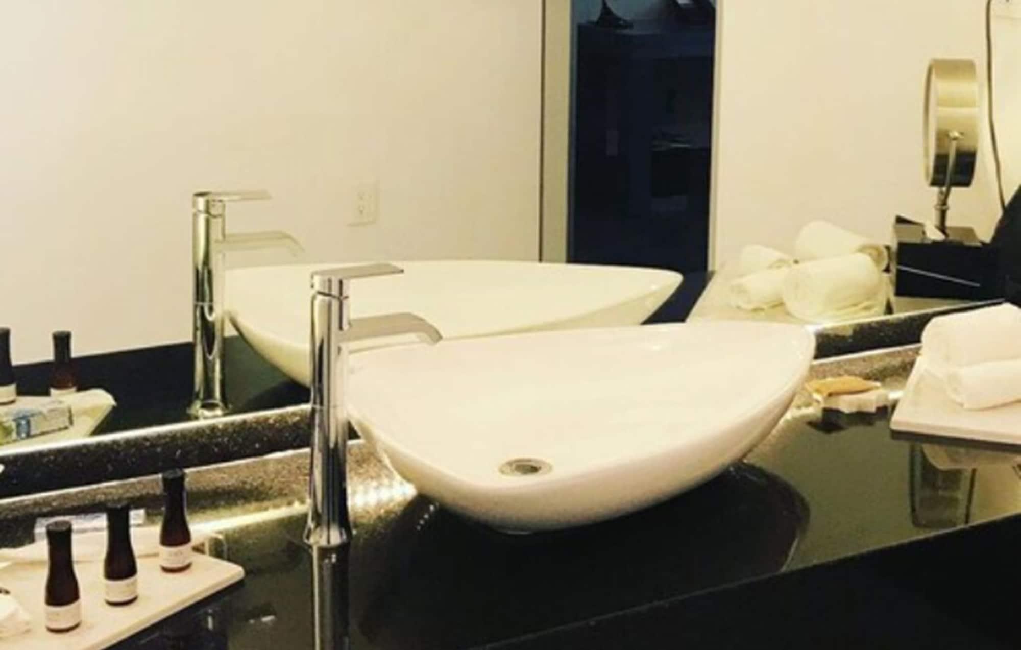 Baruk Guadalajara Hotel De Autor エクステリア 写真 A vessel sink